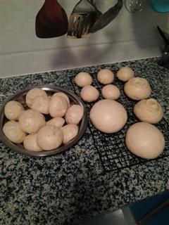 牛肉包，奶黄包，馒头