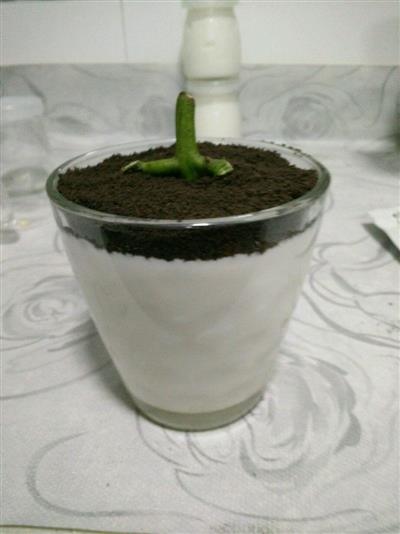 自制酸奶盆栽