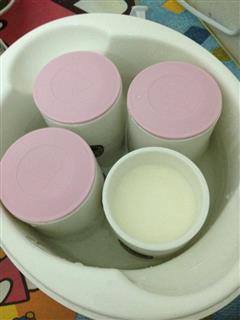 自制分杯酸奶