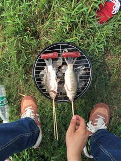 田园系列-烤鱼的热量