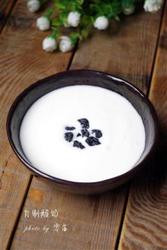 自制酸奶-原味酸奶