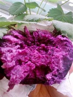 微波炉烤紫薯，土豆