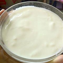 自制蜂蜜酸奶
