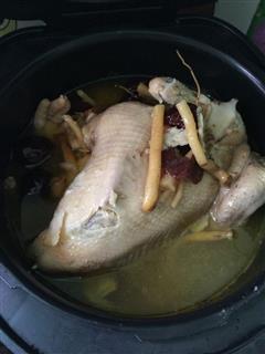 温补乌鸡+鸽子汤／天麻整鸡汤