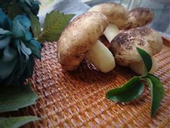 蘑菇豆沙馒头-以假乱真的萌食小点