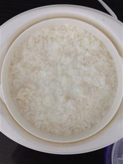 酸奶机版自制米酒