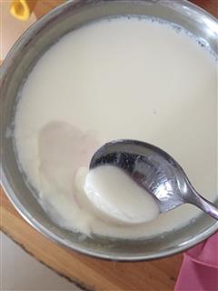 自制红枣酸奶