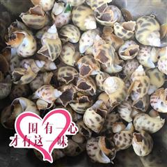 白灼花螺