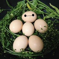 三月三-荠菜煮鸡蛋