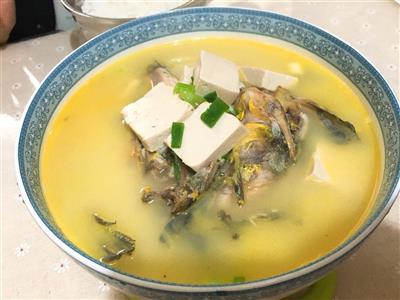 黄颡鱼豆腐汤